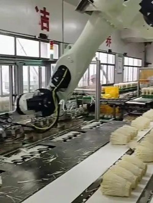 金針菇擺放機(jī)器人 華象工業(yè) 工廠實(shí)拍視頻 自動(dòng)化生產(chǎn)線 工業(yè)機(jī)器人 智能制造 自動(dòng)化設(shè)計(jì) 科技改變生活